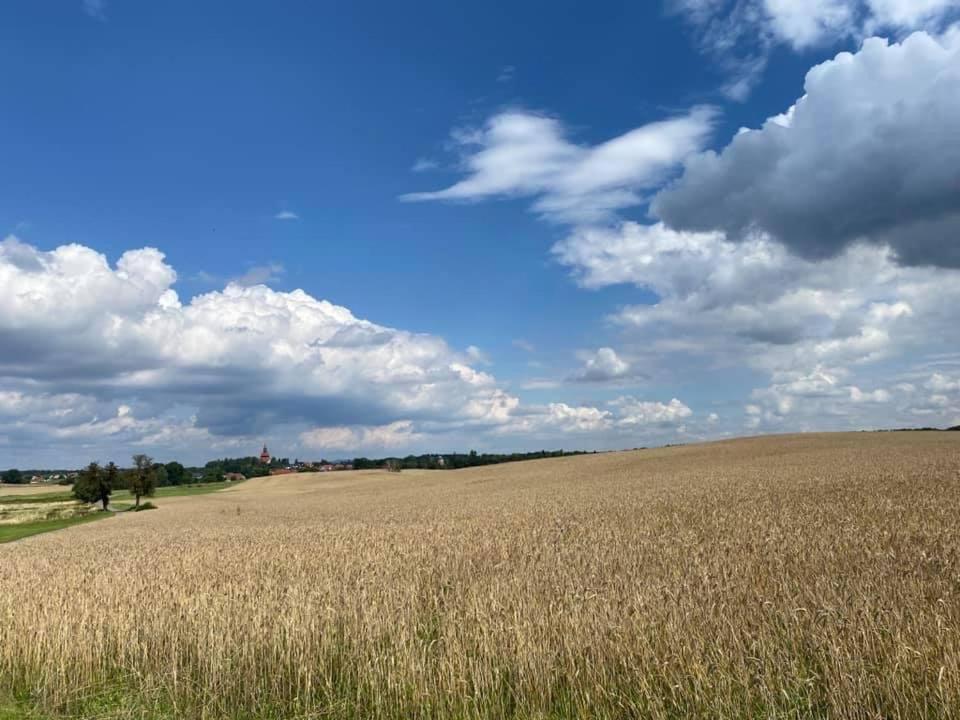 Apartamento Hof Türke Moritzburg Exterior foto